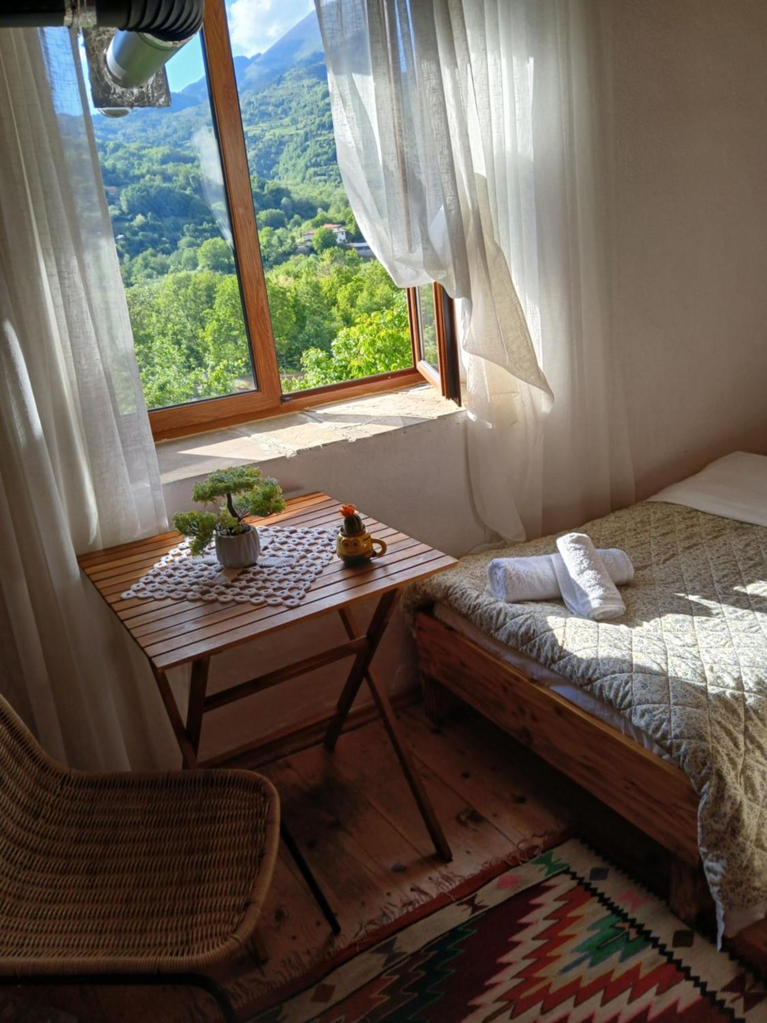 Hotel Bujtina Tusha Priska e Madhe Zewnętrze zdjęcie
