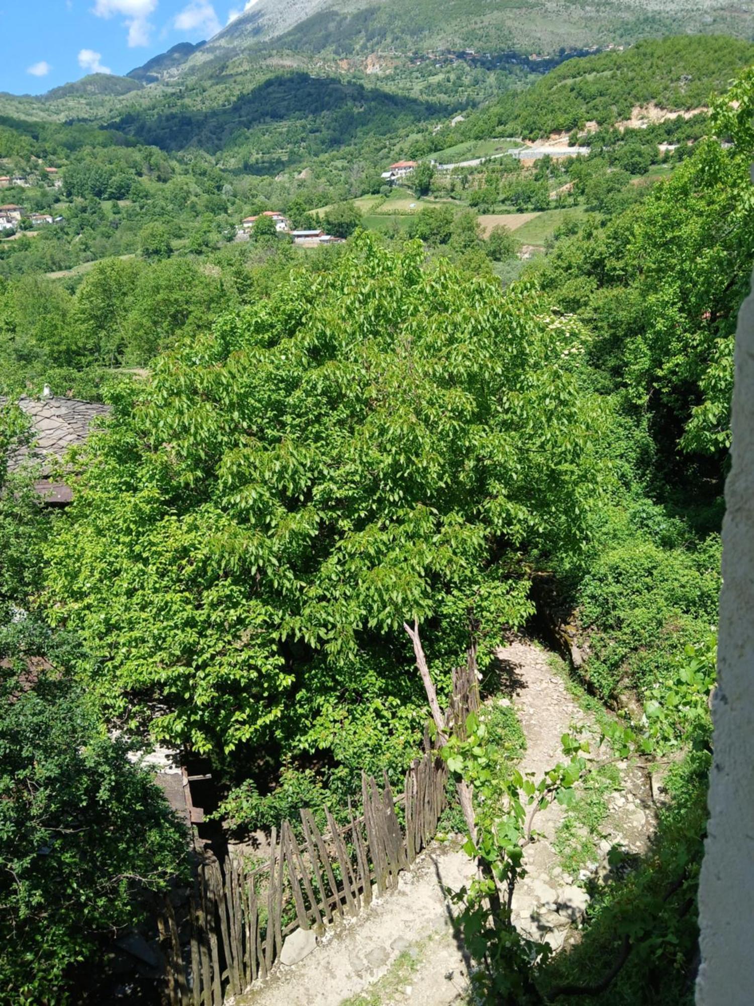 Hotel Bujtina Tusha Priska e Madhe Zewnętrze zdjęcie